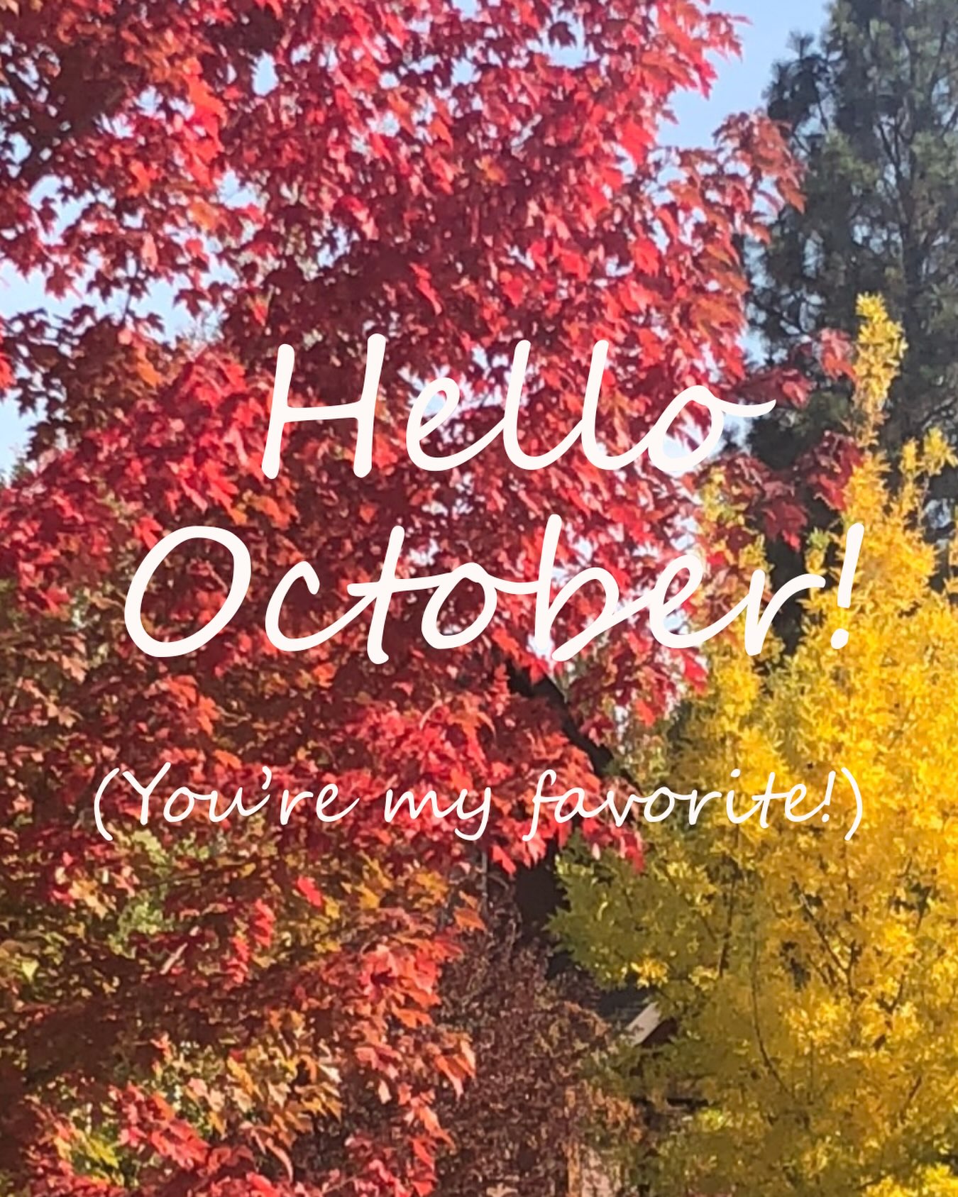 October, you are simply stunning. 🍁